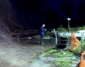 Albero caduto (foto ore 20.30 del 10 novembre 2023) che invade tutta via Wolf Ferrari