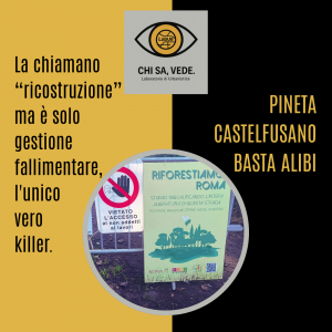 Bianco Nero Rosa Minimal Grunge Musica Copertina Album_20260122_114834_0000