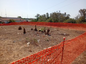 IMG-20260820-WA0004
